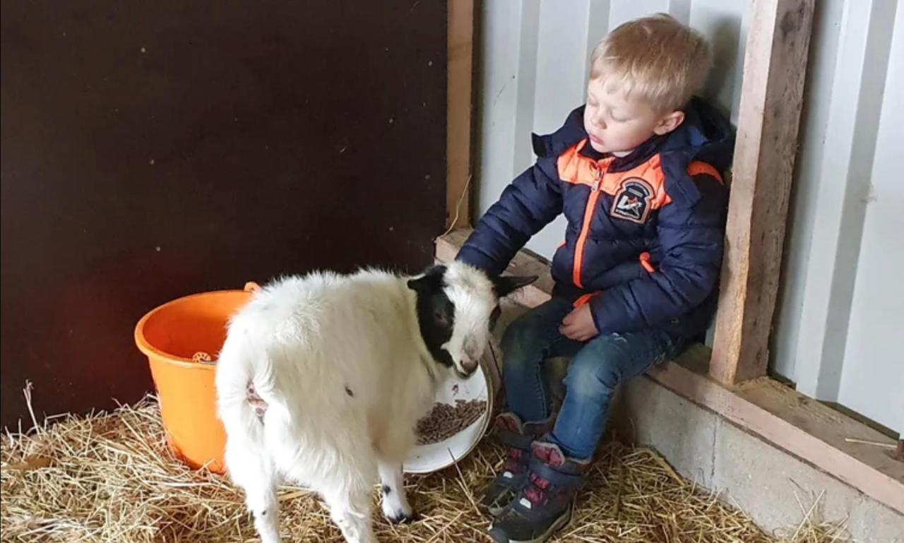 Vakantieboerderij Huize Nuis Noordbeemster Eksteriør billede